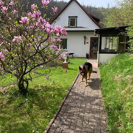 Ferienhaus Andrea Am Bodetal Treseburg ภายนอก รูปภาพ