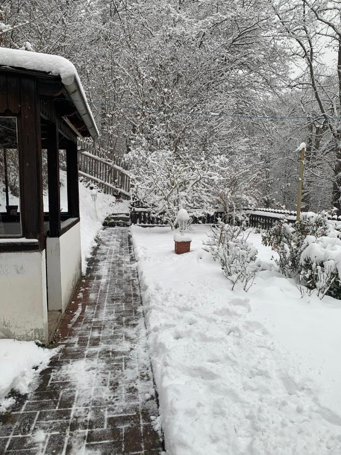 Ferienhaus Andrea Am Bodetal Treseburg ภายนอก รูปภาพ