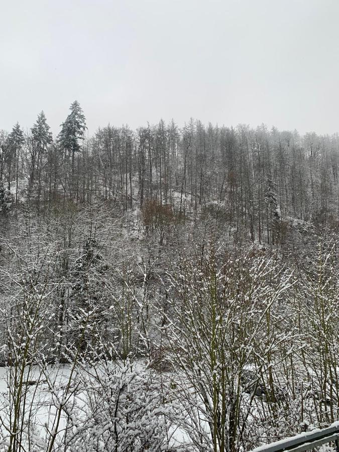 Ferienhaus Andrea Am Bodetal Treseburg ภายนอก รูปภาพ