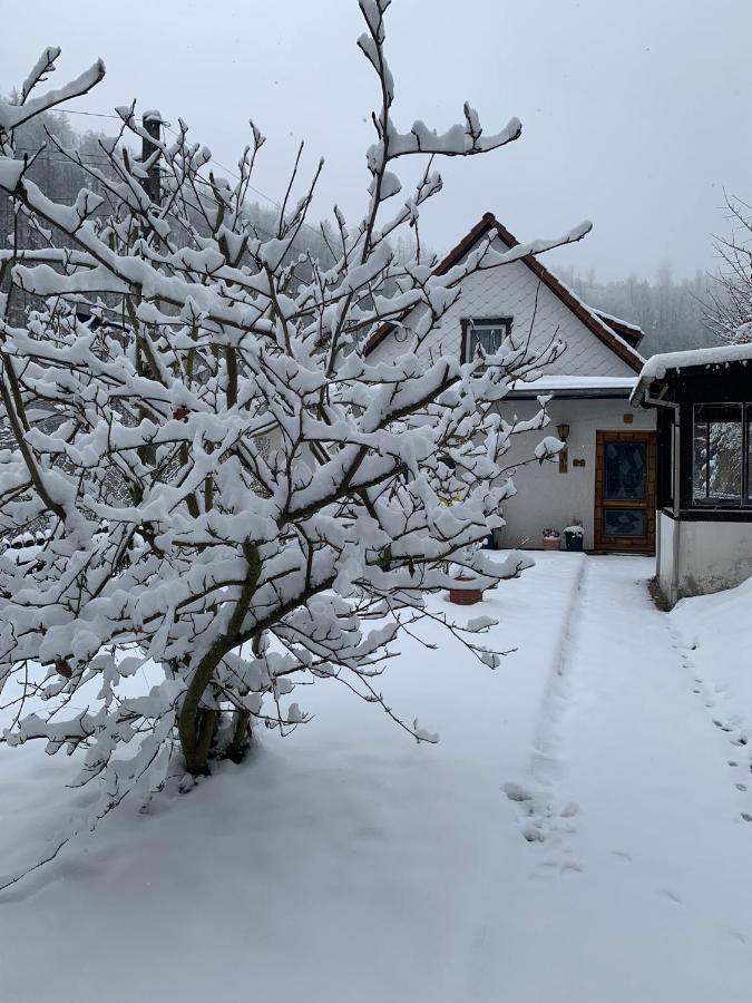 Ferienhaus Andrea Am Bodetal Treseburg ภายนอก รูปภาพ
