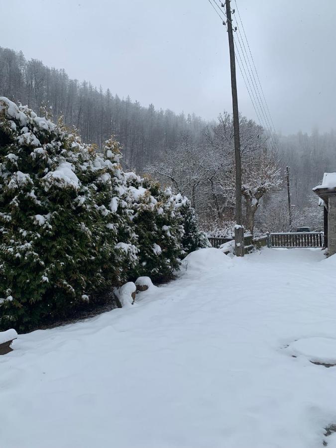 Ferienhaus Andrea Am Bodetal Treseburg ภายนอก รูปภาพ