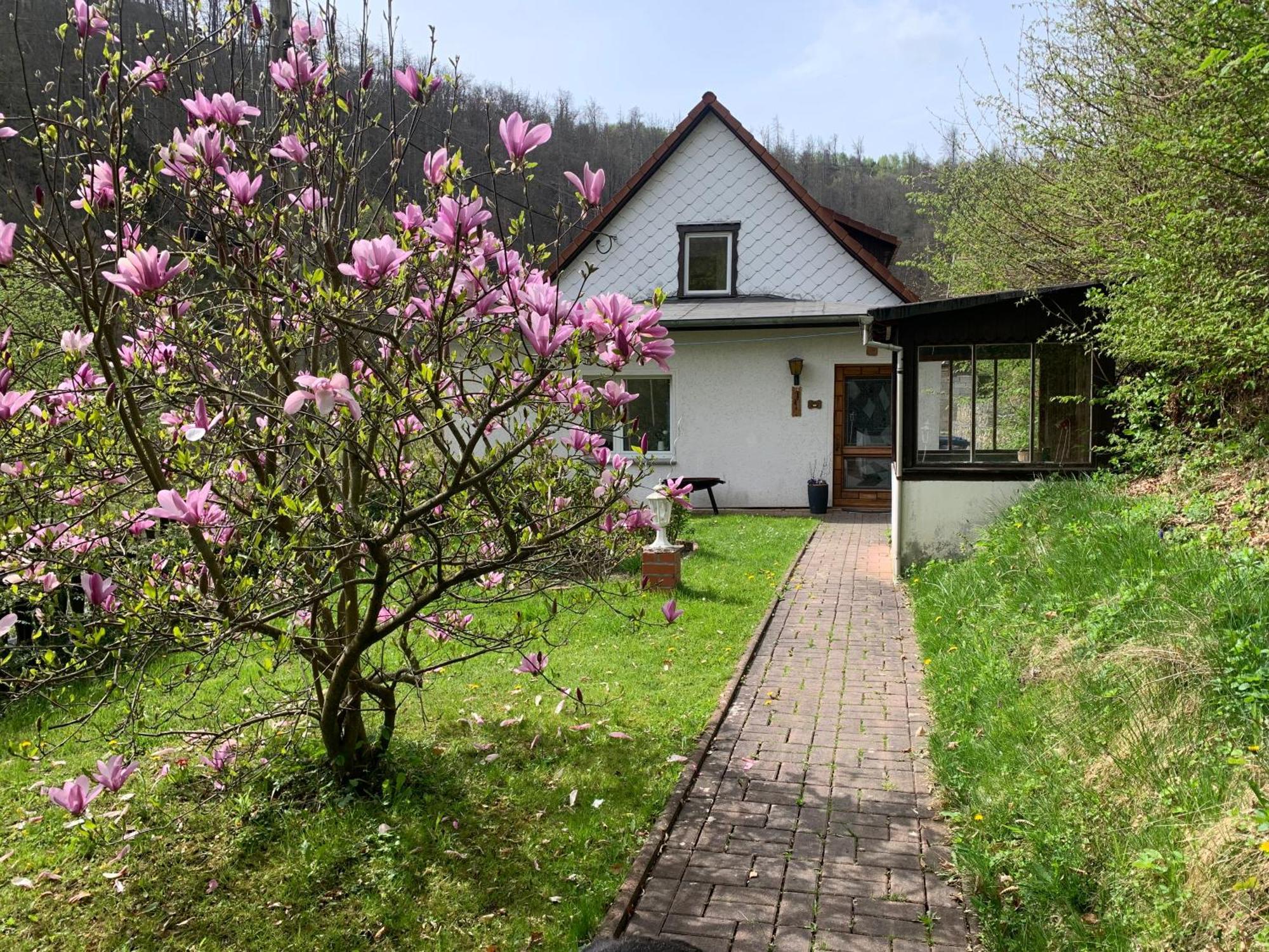 Ferienhaus Andrea Am Bodetal Treseburg ภายนอก รูปภาพ